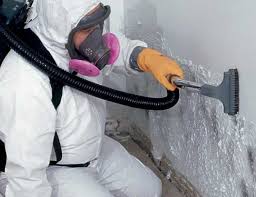 Biohazard Mold Removal in Dauphin, PA